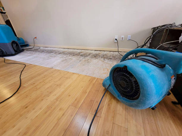 Professional Sewage Cleanup technician working in Paris, TX
